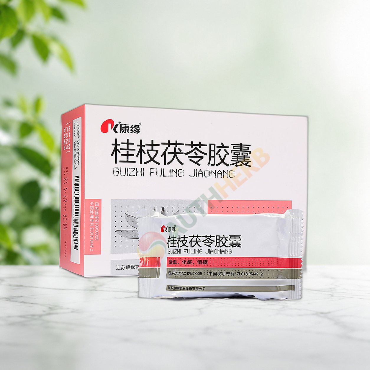 guizhi-fuling-capsule guizhi fuling capsule