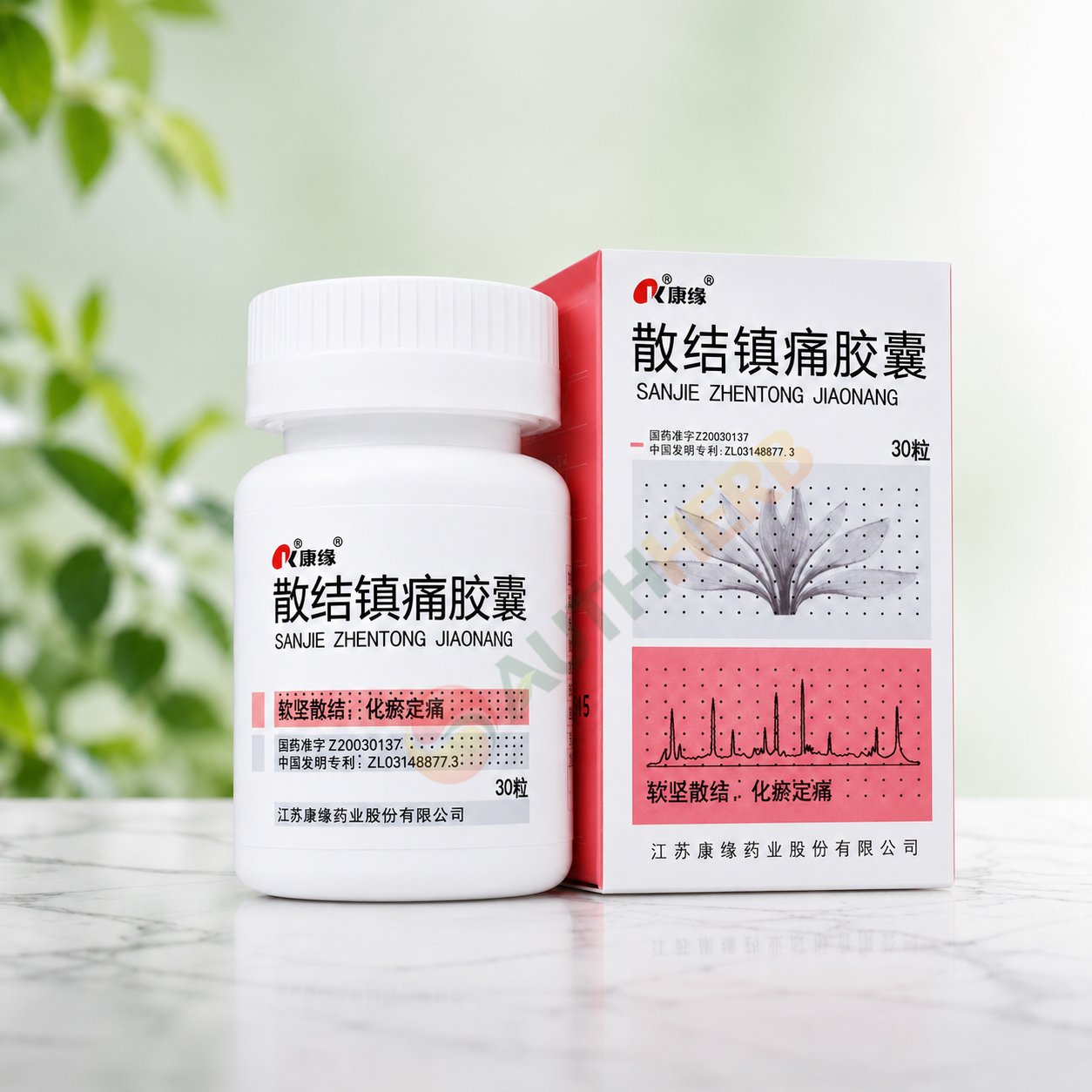 sanjie-zhentong-capsule sanjie zhentong capsule